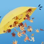 Bollette più leggere con l’autunno: 7 consigli pratici per risparmiare a casa e in ufficio
